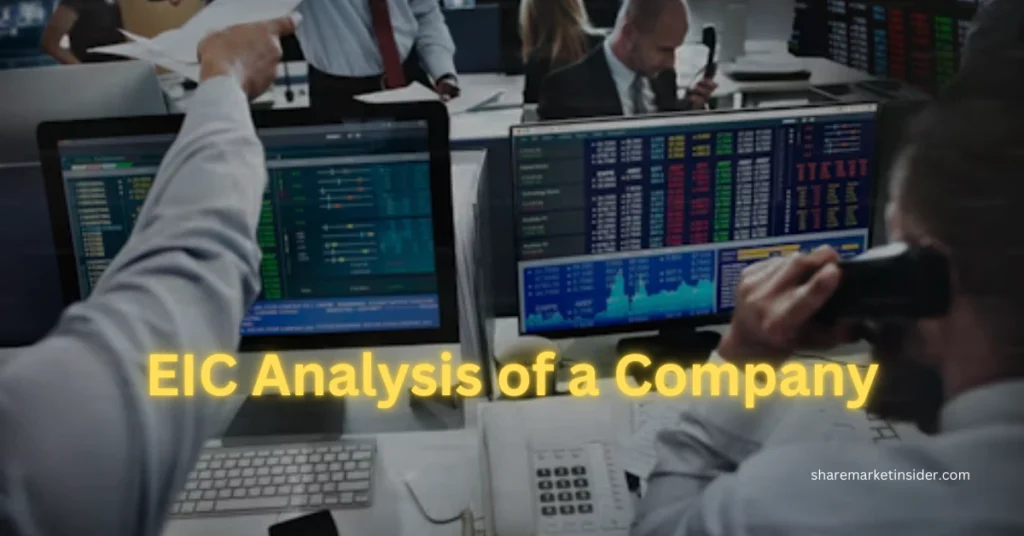 EIC Analysis of a Company